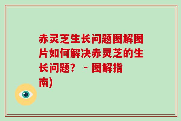 赤灵芝生长问题图解图片如何解决赤灵芝的生长问题？ - 图解指南)