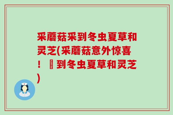 采蘑菇采到冬虫夏草和灵芝(采蘑菇意外惊喜！採到冬虫夏草和灵芝)