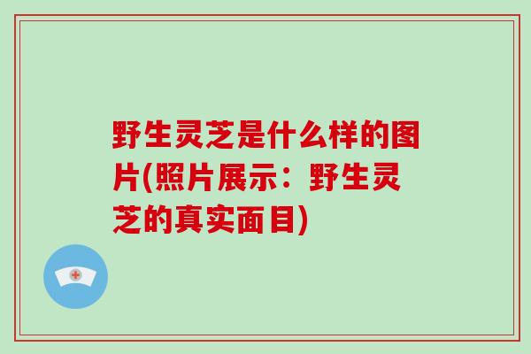 野生灵芝是什么样的图片(照片展示：野生灵芝的真实面目)