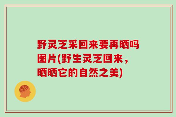 野灵芝采回来要再晒吗图片(野生灵芝回来，晒晒它的自然之美)