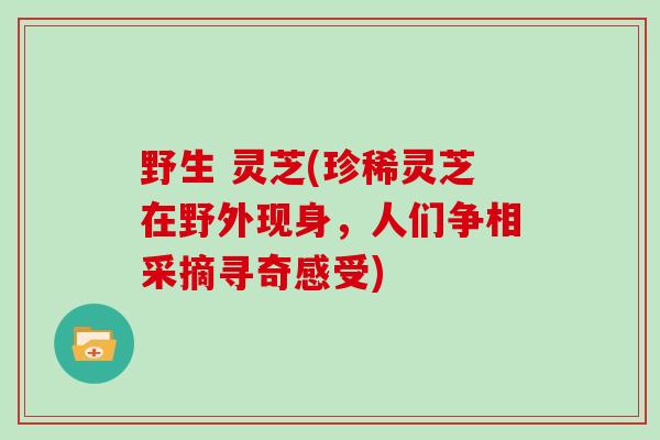 野生 灵芝(珍稀灵芝在野外现身，人们争相采摘寻奇感受)