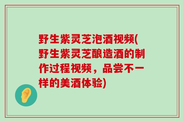 野生紫灵芝泡酒视频(野生紫灵芝酿造酒的制作过程视频，品尝不一样的美酒体验)