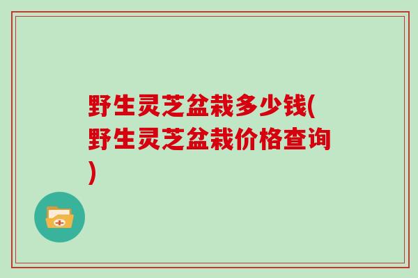 野生灵芝盆栽多少钱(野生灵芝盆栽价格查询)