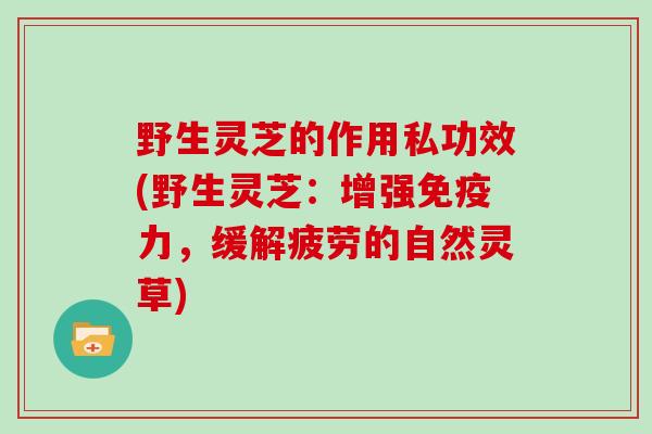 野生灵芝的作用私功效(野生灵芝：增强免疫力，缓解疲劳的自然灵草)