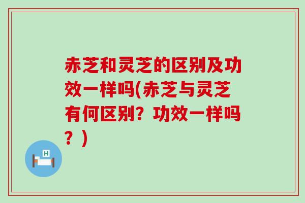 赤芝和灵芝的区别及功效一样吗(赤芝与灵芝有何区别？功效一样吗？)