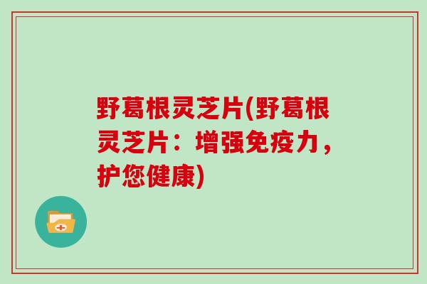 野葛根灵芝片(野葛根灵芝片：增强免疫力，护您健康)