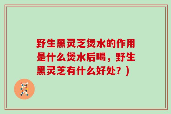 野生黑灵芝煲水的作用是什么煲水后喝，野生黑灵芝有什么好处？)