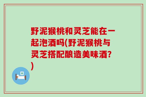 野泥猴桃和灵芝能在一起泡酒吗(野泥猴桃与灵芝搭配酿造美味酒？)