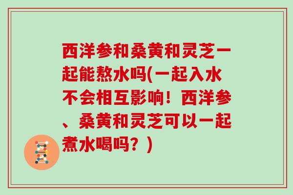 西洋参和桑黄和灵芝一起能熬水吗(一起入水不会相互影响！西洋参、桑黄和灵芝可以一起煮水喝吗？)