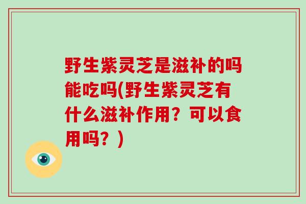 野生紫灵芝是滋补的吗能吃吗(野生紫灵芝有什么滋补作用？可以食用吗？)