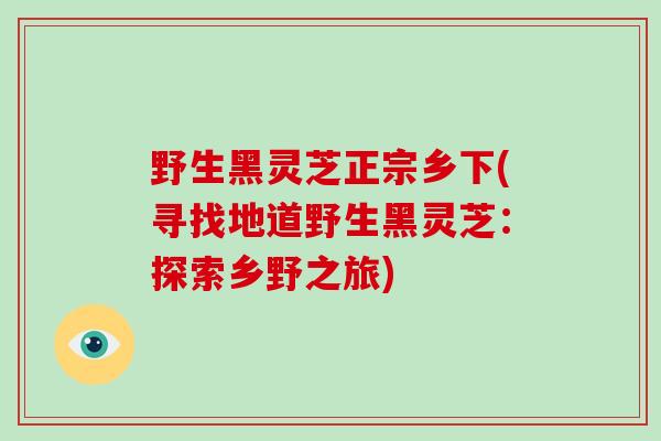 野生黑灵芝正宗乡下(寻找地道野生黑灵芝：探索乡野之旅)