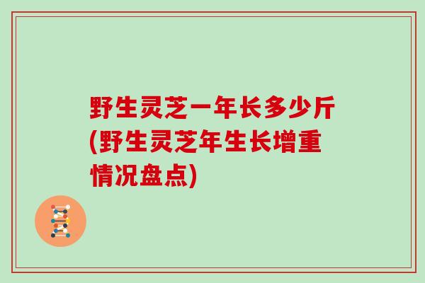 野生灵芝一年长多少斤(野生灵芝年生长增重情况盘点)