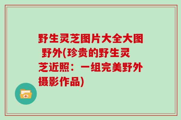 野生灵芝图片大全大图 野外(珍贵的野生灵芝近照：一组完美野外摄影作品)