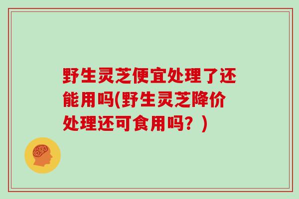 野生灵芝便宜处理了还能用吗(野生灵芝降价处理还可食用吗？)