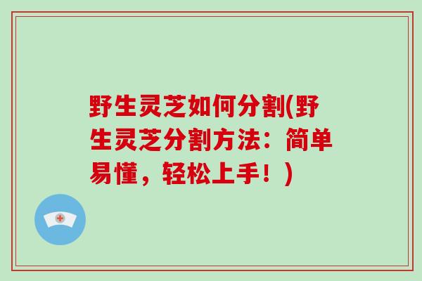 野生灵芝如何分割(野生灵芝分割方法：简单易懂，轻松上手！)