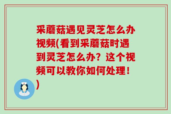 采蘑菇遇见灵芝怎么办视频(看到采蘑菇时遇到灵芝怎么办？这个视频可以教你如何处理！)