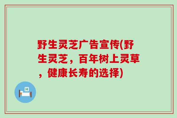 野生灵芝广告宣传(野生灵芝，百年树上灵草，健康长寿的选择)