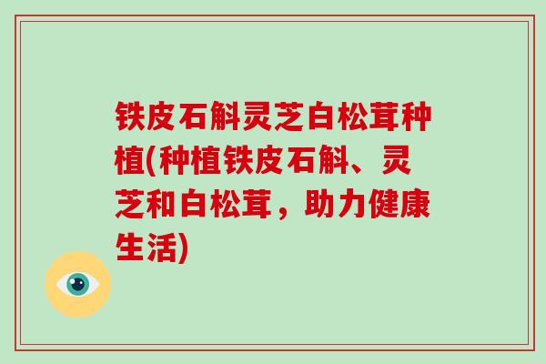 铁皮石斛灵芝白松茸种植(种植铁皮石斛、灵芝和白松茸，助力健康生活)