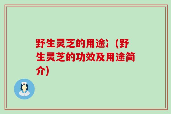 野生灵芝的用途冫(野生灵芝的功效及用途简介)