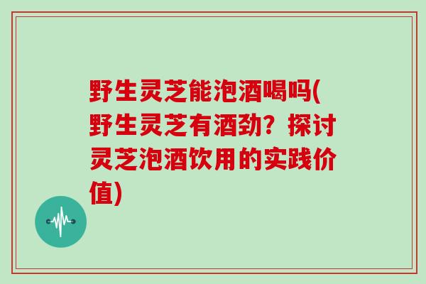 野生灵芝能泡酒喝吗(野生灵芝有酒劲？探讨灵芝泡酒饮用的实践价值)