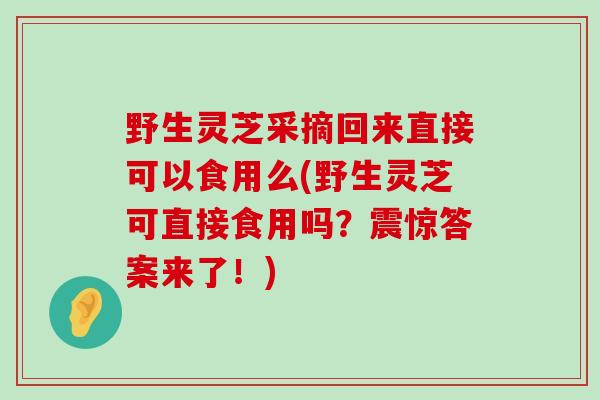 野生灵芝采摘回来直接可以食用么(野生灵芝可直接食用吗？震惊答案来了！)