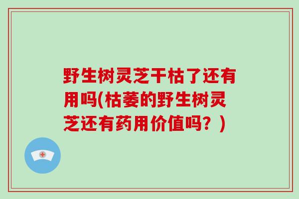 野生树灵芝干枯了还有用吗(枯萎的野生树灵芝还有药用价值吗？)