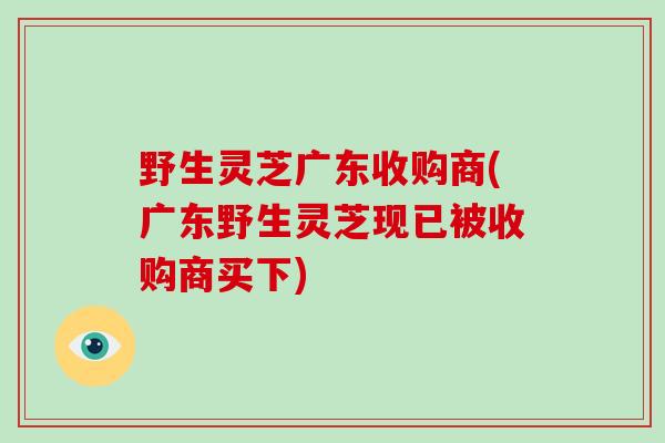 野生灵芝广东收购商(广东野生灵芝现已被收购商买下)