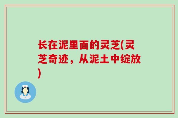 长在泥里面的灵芝(灵芝奇迹，从泥土中绽放)