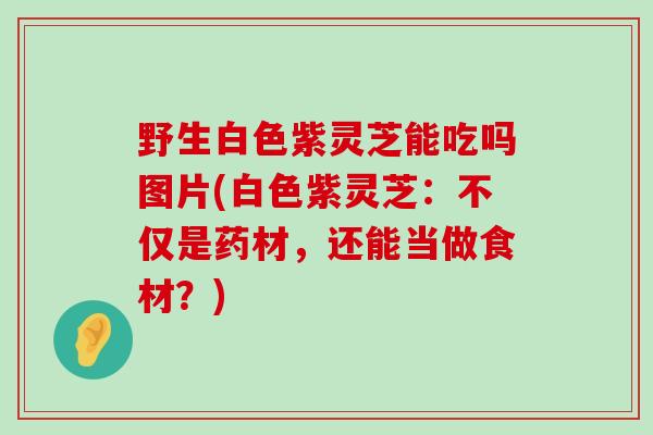 野生白色紫灵芝能吃吗图片(白色紫灵芝：不仅是药材，还能当做食材？)