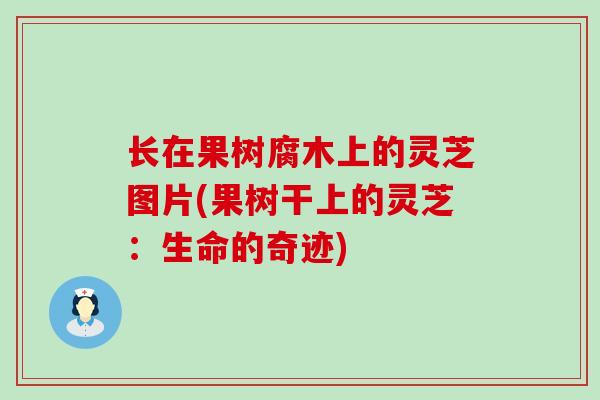 长在果树腐木上的灵芝图片(果树干上的灵芝：生命的奇迹)