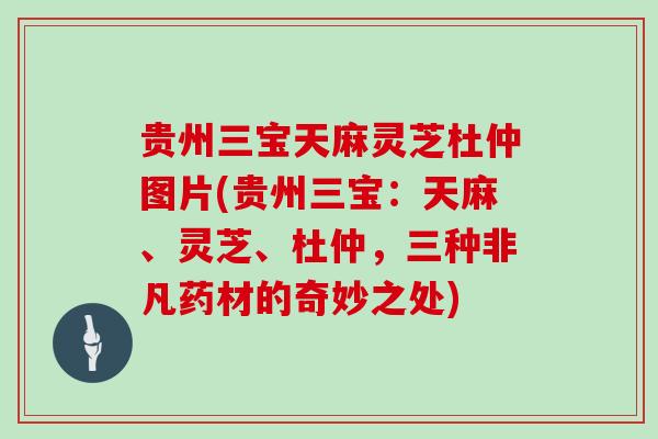 贵州三宝天麻灵芝杜仲图片(贵州三宝：天麻、灵芝、杜仲，三种非凡药材的奇妙之处)