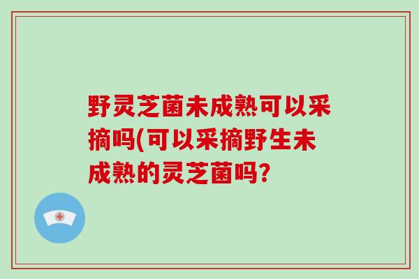 野灵芝菌未成熟可以采摘吗(可以采摘野生未成熟的灵芝菌吗？