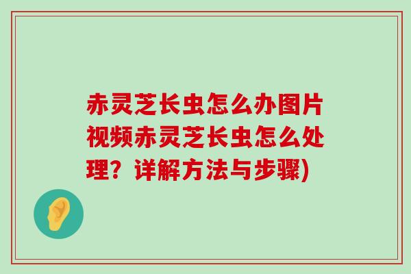 赤灵芝长虫怎么办图片视频赤灵芝长虫怎么处理？详解方法与步骤)