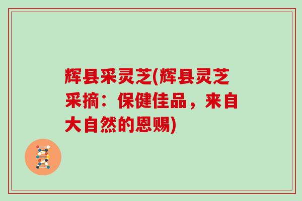 辉县采灵芝(辉县灵芝采摘：保健佳品，来自大自然的恩赐)