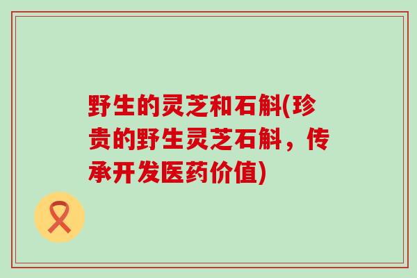 野生的灵芝和石斛(珍贵的野生灵芝石斛，传承开发医药价值)