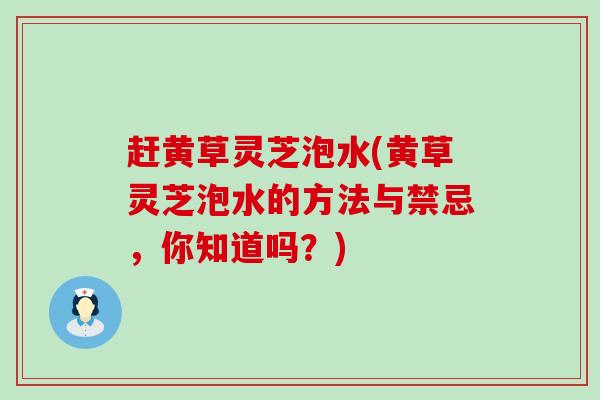 赶黄草灵芝泡水(黄草灵芝泡水的方法与禁忌，你知道吗？)