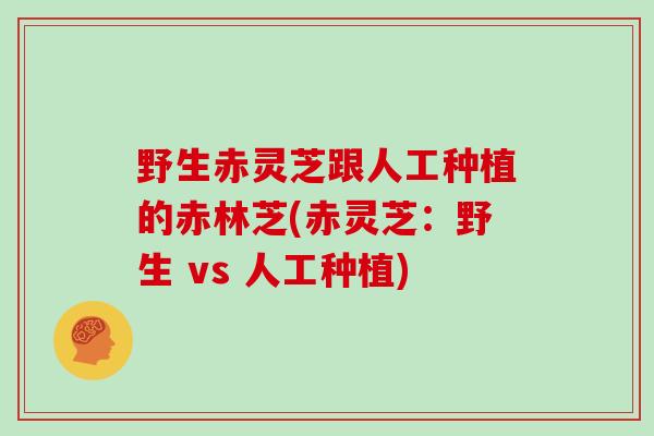 野生赤灵芝跟人工种植的赤林芝(赤灵芝：野生 vs 人工种植)