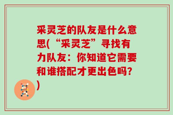 采灵芝的队友是什么意思(“采灵芝”寻找有力队友：你知道它需要和谁搭配才更出色吗？)