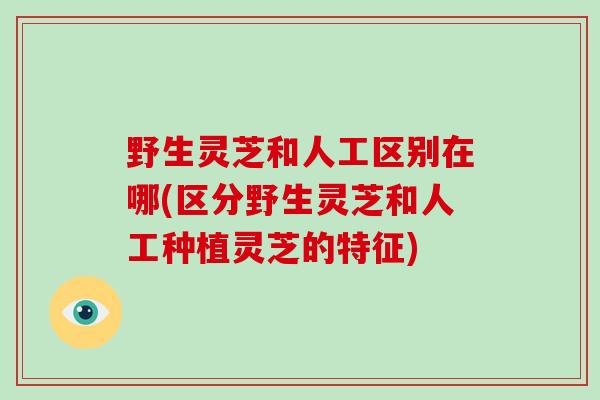 野生灵芝和人工区别在哪(区分野生灵芝和人工种植灵芝的特征)