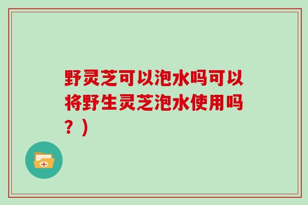 野灵芝可以泡水吗可以将野生灵芝泡水使用吗？)