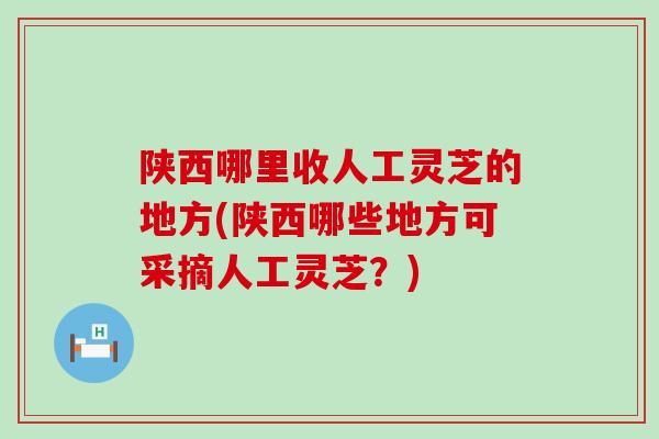 陕西哪里收人工灵芝的地方(陕西哪些地方可采摘人工灵芝？)