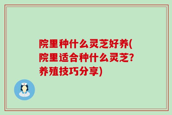 院里种什么灵芝好养(院里适合种什么灵芝？养殖技巧分享)