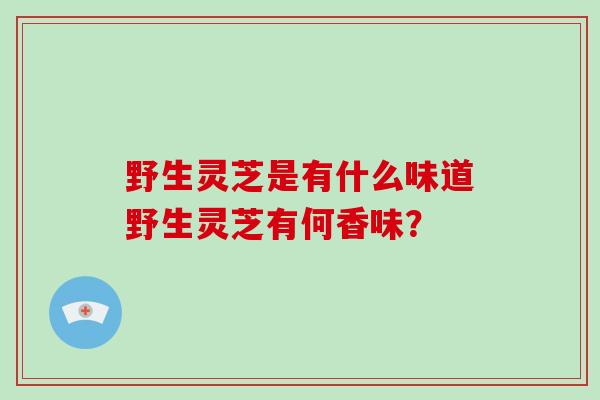 野生灵芝是有什么味道野生灵芝有何香味？