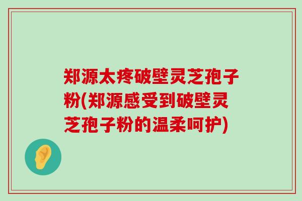 郑源太疼破壁灵芝孢子粉(郑源感受到破壁灵芝孢子粉的温柔呵护)