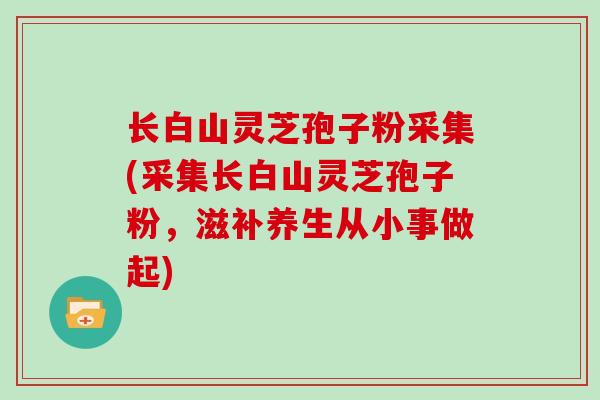 长白山灵芝孢子粉采集(采集长白山灵芝孢子粉，滋补养生从小事做起)