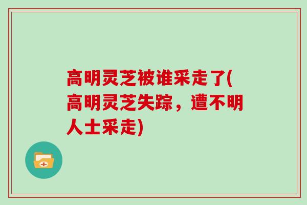 高明灵芝被谁采走了(高明灵芝失踪，遭不明人士采走)