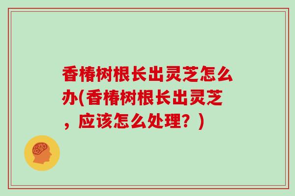 香椿树根长出灵芝怎么办(香椿树根长出灵芝，应该怎么处理？)