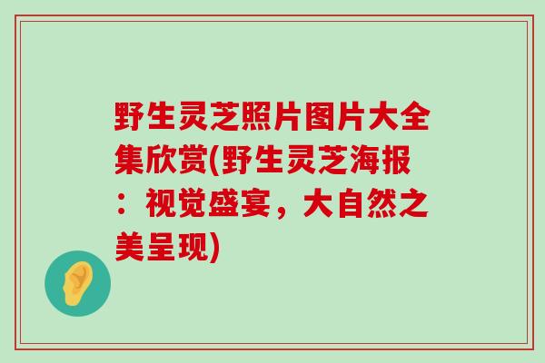 野生灵芝照片图片大全集欣赏(野生灵芝海报：视觉盛宴，大自然之美呈现)