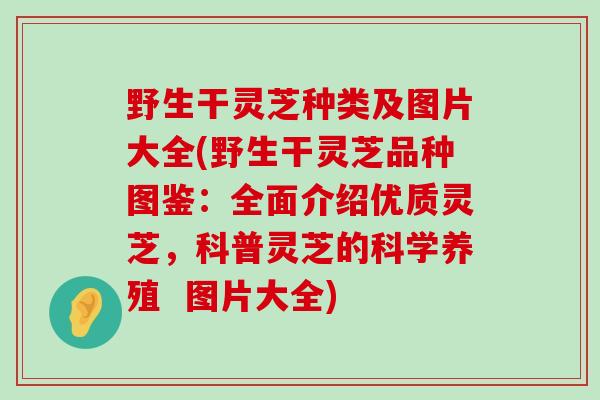 野生干灵芝种类及图片大全(野生干灵芝品种图鉴：全面介绍优质灵芝，科普灵芝的科学养殖  图片大全)