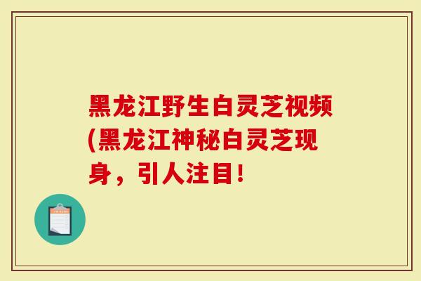 黑龙江野生白灵芝视频(黑龙江神秘白灵芝现身，引人注目！